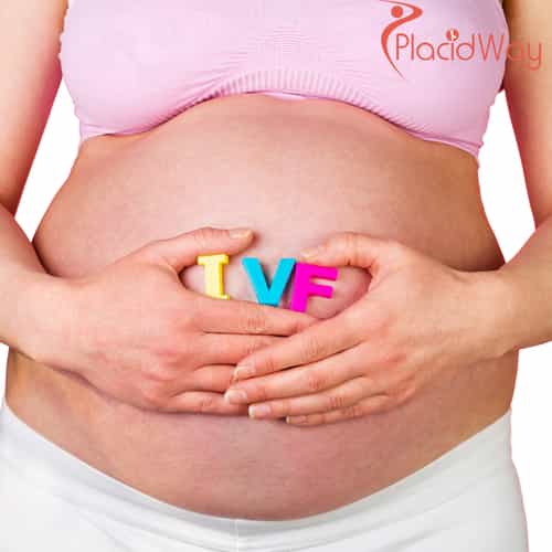 IVF in Mexico for Houston Patients Seeking Nearby Fertility Care